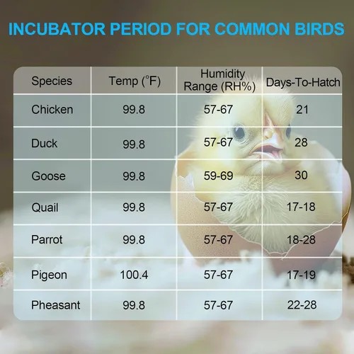 Miniatura 8 de 18 incubadoras de huevos para incubar huevos con control de temperatura, incubadora de huevos con giro automático de huevos y pantalla de humedad