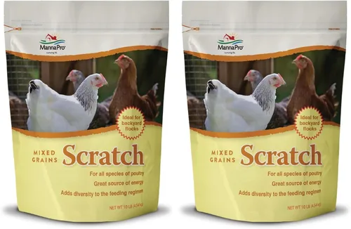 Miniatura 10 de Manna Pro Ultimate Chicken Scratch Feed, Alimento de Grano Nutritivo Rico en Nutrientes para Pollos y Aves de Corral, Mezcla Natural Multigrano