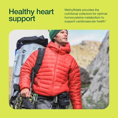 Miniatura 7 de Fresh Nutrition L Metilfolato 7.5mg - Máxima potencia - Biodisponibilidad superior - 5-MTHF metil folato para el estado de ánimo, cognición, 7.5mg