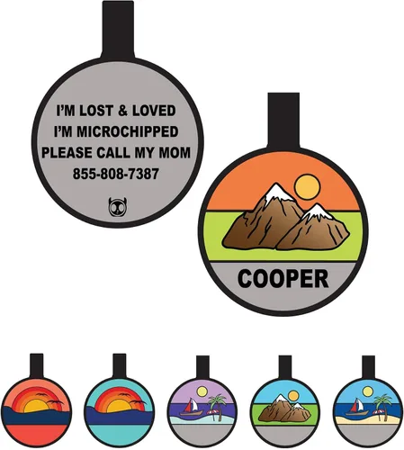 Miniatura 8 de Placa de Identificación Silenciosa para Perro Personalizada con 5 Líneas de Grabado Profundo Personalizado Etiqueta de Identificación con Nombre