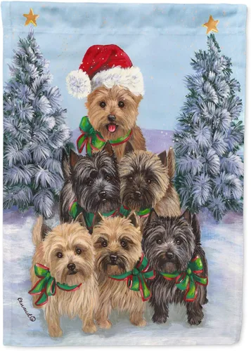 Miniatura 83 de Caroline's Treasures PPP3097CHF - Pijama de Navidad con diseño de bulldog francés para colgar en la pared, poliéster, tamaño de casa, multicolor