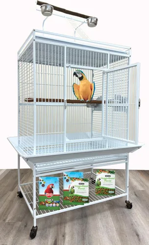 Miniatura 9 de Escalera extragrande de hierro forjado, elegante y duradera, soporte de percha para jugar en la parte superior del suelo, jaula de metal para loro