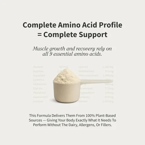 Miniatura 6 de Snap Supplements Polvo de proteína vegana orgánica a base de plantas en polvo de proteína que aumenta el óxido nítrico, aminoácido BCAA