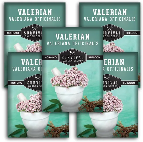 Miniatura 10 de Survival Garden Seeds - Semillas de valeriana para plantar - 1 paquete con instrucciones para plantar y cultivar hierba medicinal Valeriana