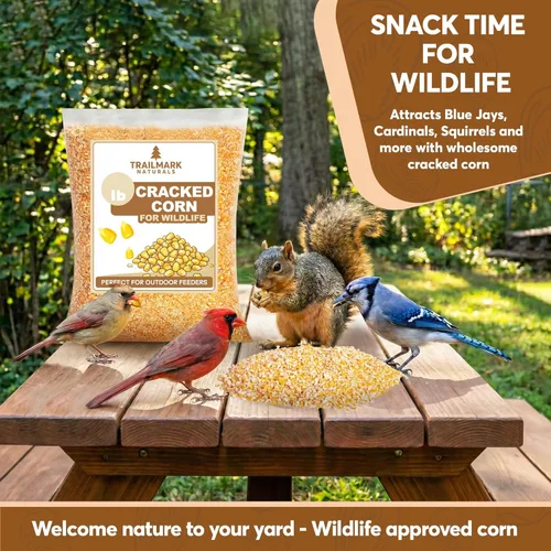 Miniatura 3 de Maíz partido de 10 libras – Semilla premium para aves y alimento para vida silvestre para patos, venados, ardillas, pollos y pavos – Maíz partido