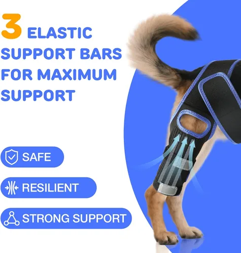 Miniatura 7 de RUXAN Rodillera para perro para Acl, soportes para piernas de perro para pierna trasera, rodillera para dolor y apoyo de artritis, juego de arnés
