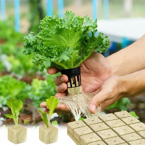 Miniatura 7 de Halatool Cubos hidropónicos de lana de roca de 1.2 pulgadas para cultivo hidropónico sin suelo, plántulas, inicio, esquejes, clones y propagación