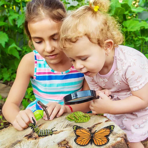 Miniatura 8 de 15 tarjetas de mariposa con 4 figuras de plástico, tarjetas de introducción de mariposas, insectos, huevo a mariposa, kit de juguete para niños