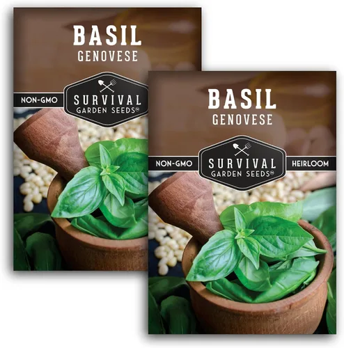 Miniatura 10 de 1 paquete de semillas de albahaca genovesa para plantar con instrucciones para cultivar deliciosas hierbas italianas en el huerto de tu hogar