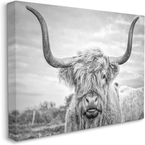 Miniatura 2 de Stupell Industries Lienzo decorativo para pared, diseño de vaca de las tierras altas en blanco y negro por Joe Reynolds, 24 x 30 pulgadas