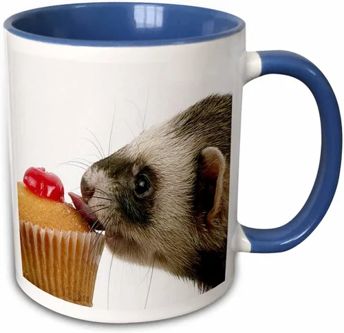 Miniatura 8 de 3dRose mug_17288_4 Hurón Eating Cupcake - Taza negra de dos tonos, multicolor, 11 onzas Blanco