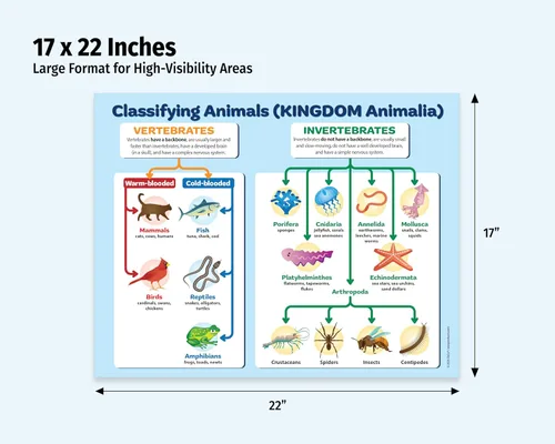 Miniatura 2 de ZOCO Póster de clasificación del Reino Animal (paquete de 2) - Tabla de biología y zoología de vertebrados e invertebrados - Laminado 17 x 22