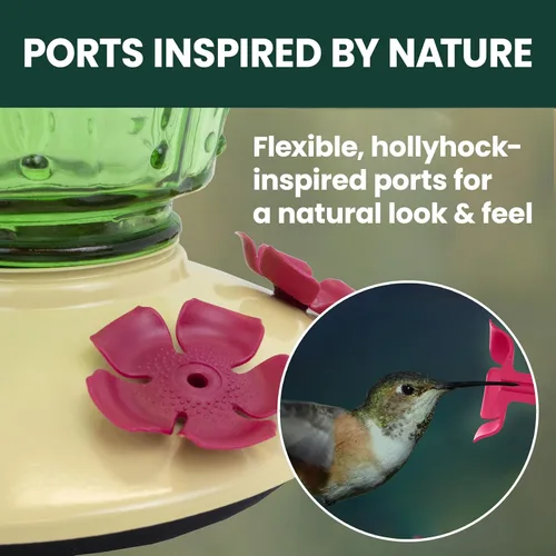 Miniatura 4 de Perky-Pet Comedero para colibríes de vidrio con relleno superior de cactus con protectores de abeja integrados y perchas extraíbles, capacidad