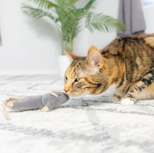 Miniatura 4 de SPOT Ratón Plano Frankie con Hierba Gatera - Juguetes para Gatos, Ratones de Peluche con Hierba Gatera y Sonido de Crujido, Tamaño Perfecto