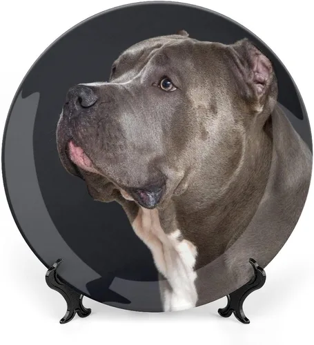 Miniatura 11 de Placa decorativa para montaje en pared, bombilla abstracta, placa redonda de cerámica con soporte, placas para el hogar, platos de postre