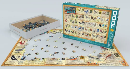 Miniatura 3 de Aves del Estado Americano de David Sibley