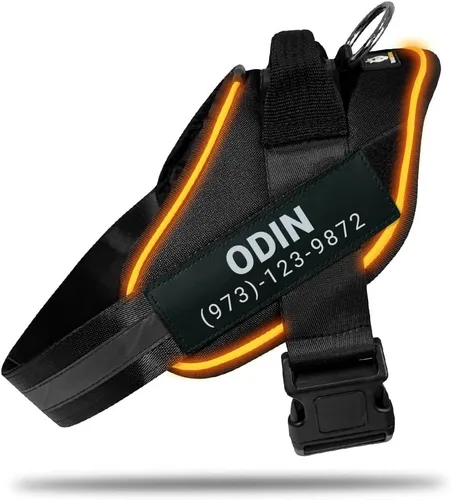 DOGGYKINGDOM Arnés LED personalizado sin tirones para perro con parches de nombre personalizados, recargable por USB, ajustable, reflectante para