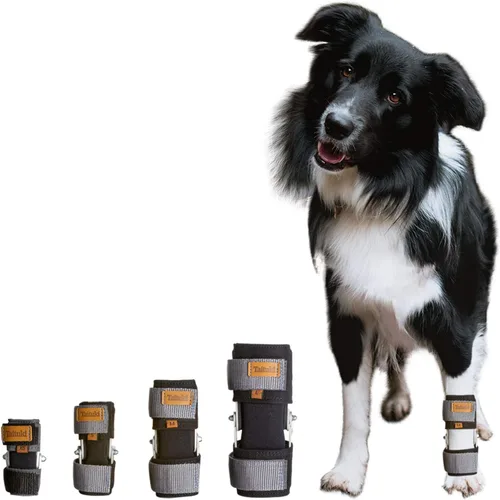 Muñequera para perro, soporte de pierna delantera de grado veterinario para laxitud carpiana, lesiones, artritis y recuperación poscirugía - (XS)