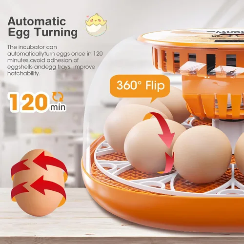 Miniatura 2 de Incubadora de 12 huevos con giro automático de huevos y control de temperatura, adición automática de agua, vela LED de huevos, incubadoras