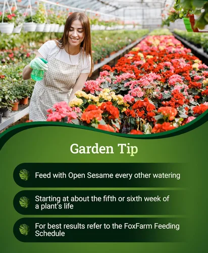Miniatura 6 de FoxFarm Fertilizante soluble en agua de sésamo abierto para floración en etapa temprana - Fácil de mezclar, fertilizante alto en fósforo fórmula