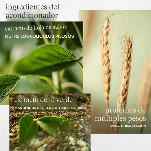 Miniatura 8 de Pureology Kit de Champú y Acondicionador Hidratante - Para Cabello Seco, Medio a Grueso y Teñido, Suaviza y Hidrata Profunda, Sin Sulfatos