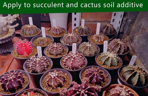 Miniatura 4 de Horticultural Akadama Soil - Aditivo de suelo suculento de cactus bonsái para plantas, paisajismo, rellenos de jarrones