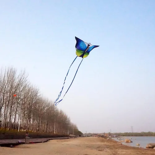 Miniatura 6 de Cometa de mariposa de 53 pulgadas con líneas voladoras fácil de volar para niños y adultos