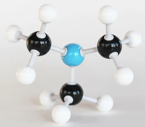 Miniatura 6 de Kit de estudiante modelo molecular de química orgánica (88 átomos y 140 partes de enlace) - MM-004