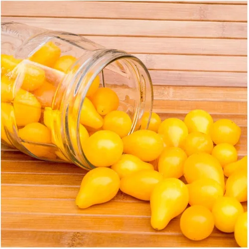 Miniatura 5 de Everwilde Farms - 50 semillas de tomate orgánicas de producción de pera amarilla - Paquete Gold Vault