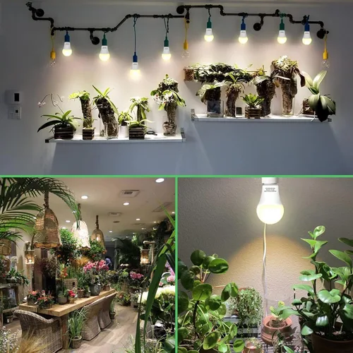 Miniatura 4 de Paquete de 3 Bombillas de Luz de Crecimiento de Espectro Completo, Luz A19 para Plantas de Interior, Bombilla de Crecimiento de 9W Regulable E26