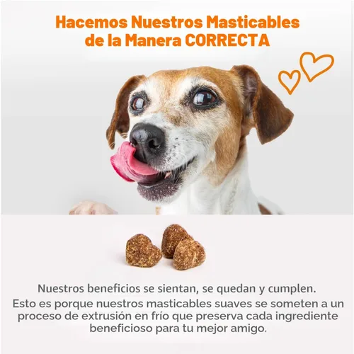 Miniatura 6 de Zesty Paws Multivitamínico para perros – Glucosamina y condroitina + MSM para cadera y articulaciones + alivio de artritis – encimas digestivas