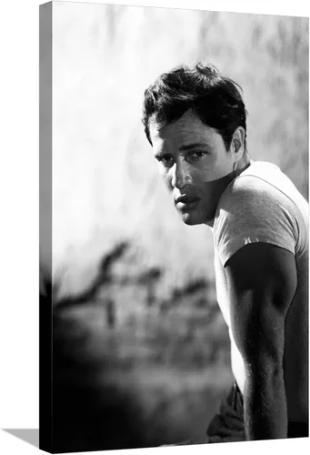 Miniatura 5 de AllPosters Foto de pared Un tranvía llamado deseo, 1951 dirigida por ELIA KAZAN con Marlon Brando (foto b/n), 12x18 Impresión solamente