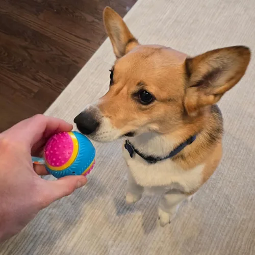 Miniatura 13 de Bola de juguete para perros Ethical Pets Sensory Ball, 2.5", Colores Variados
