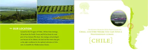 Miniatura 2 de Alonso, Aceite de Oliva Virgen Extra, Chile, Cosecha 2025, Oro NYIOOC 2025, Regalo, Producción exclusiva, Hemisferio Sur, Fuente única, Granja