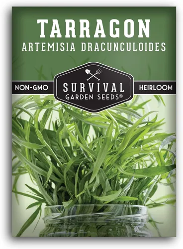 Semillas de estragón ruso para plantar, hierba culinaria de reliquia, semillas perennes de polinización abierta sin OMG para cultivar, semillas de