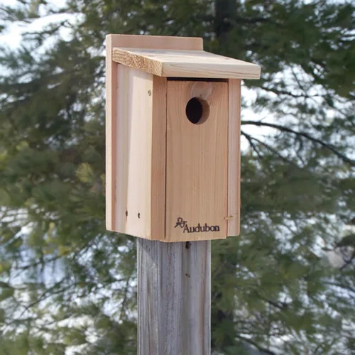Miniatura 2 de Woodlink NABB Audubon Cedar Bluebird Casa