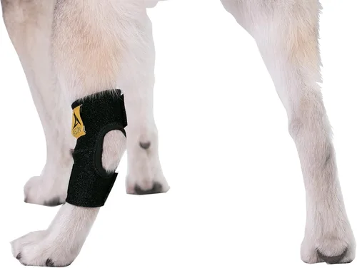 Miniatura 5 de Banda de compresión Agon para patas traseras de perros, con correas, para proteger de heridas, cura, evita lesiones y torceduras, ayuda