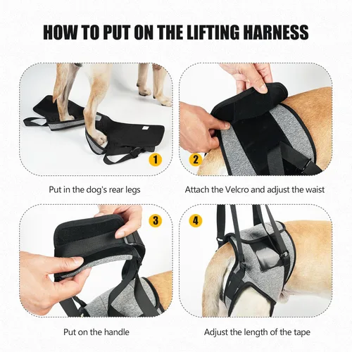 Miniatura 5 de Soporte para patas traseras para perros, cabestrillo para patas traseras, para razas medianas a grandes, perros mayores, mascotas lesionadas