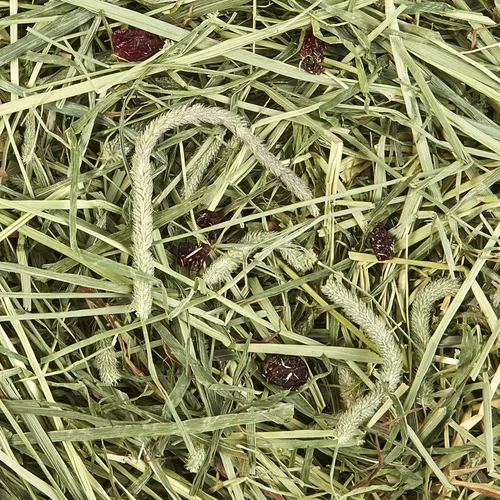 Miniatura 2 de Kaytee All Natural Timothy Hay Plus Arándanos para conejillos de indias, conejos y otros animales pequeños, 24 onzas