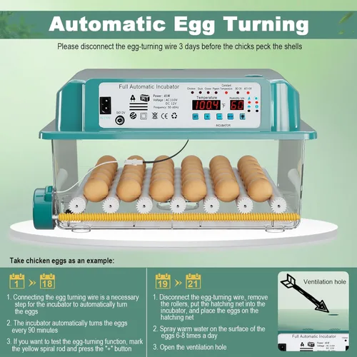 Miniatura 4 de CoInceptus 16 incubadoras de huevos para incubar huevos, incubadora de huevos con giro automático de huevos y control de temperatura, incubadoras
