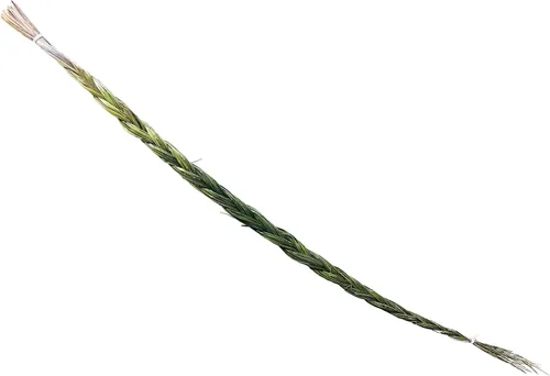 Miniatura 2 de Alternative Imagination Sweetgrass Braid - Incienso natural - 18 a 23 pulgadas de largo