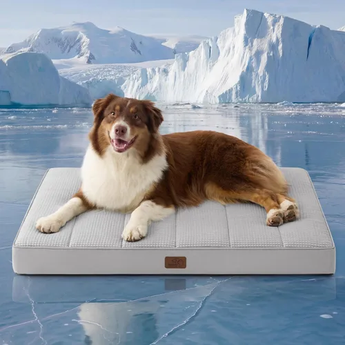 Miniatura 57 de Bedsure Camas para Perros Tamaño Grande - Cómodas Camas Planas para Mascotas con Funda Lavable Extraíble, Alfombrilla de Espuma Ortopédica