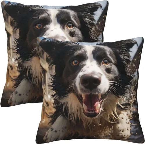 Miniatura 7 de 2 fundas de almohada cuadradas de 16 x 16 pulgadas, fundas de almohada suaves de pastor Border Collie, fundas de almohada modernas para decoración