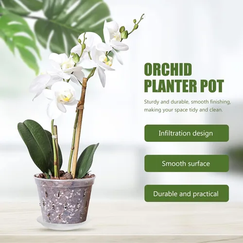 Miniatura 2 de ERINGOGO Maceta de orquídea de 6 pulgadas con agujeros de drenaje y platillo, macetas de orquídeas transparentes de plástico, maceta transparente