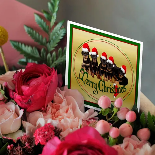 Miniatura 3 de 3dRose Feliz Navidad - rottweiler, rottweilers, propietario de rottie, cachorro rottweiler, cachorros - Tarjetas de felicitación, 6 x 6 pulgadas