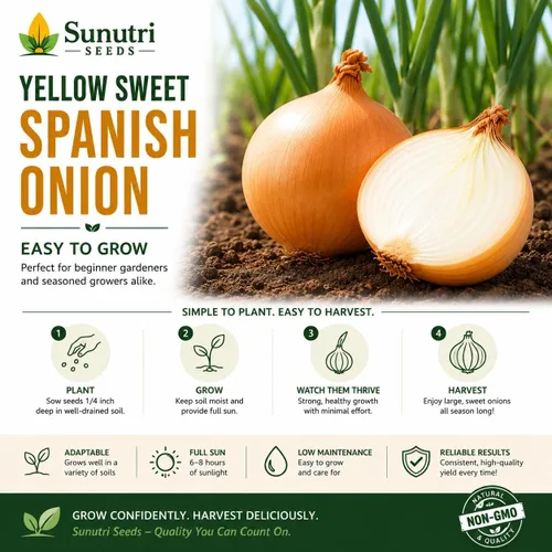 Miniatura 5 de Semillas de cebolla española dulce amarilla para plantar – Variedad de cebolla bulbante de día largo – Cebollas dulces suaves grandes para jardines