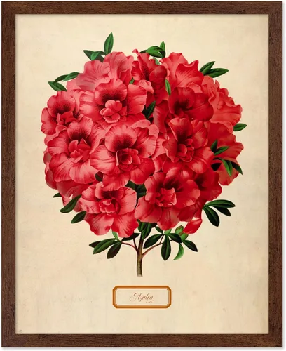 Miniatura 34 de Poster Master Póster Vintage de Plantas Cultivadas - Impresión Botánica Retro - Arte de Flores - Arte de Plantas - Regalo para Hombres y Mujeres
