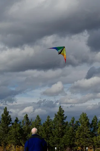 Miniatura 3 de in The Breeze 48-inch Stunt Kite, Dual Line, Framed Kites for Beginner to Intermediate Sport Kite Flyers