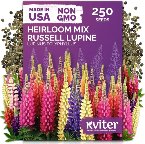 Miniatura 28 de KVITER 25 semillas de algodón blanco para plantar (Gossypium hirsutum) – Planta de algodón real, semillas de algodón para cultivo, semillas