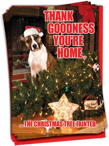 NobleWorks Paquete a granel de 36 tarjetas de felicitación divertidas de Navidad con sobres, tarjetas divertidas en caja para perros y mujeres (1